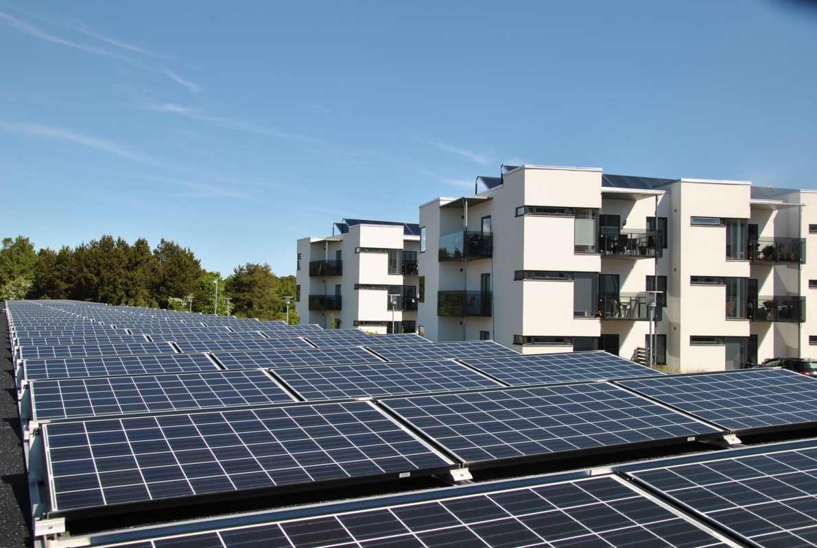 Solcellelog 2023.JPG